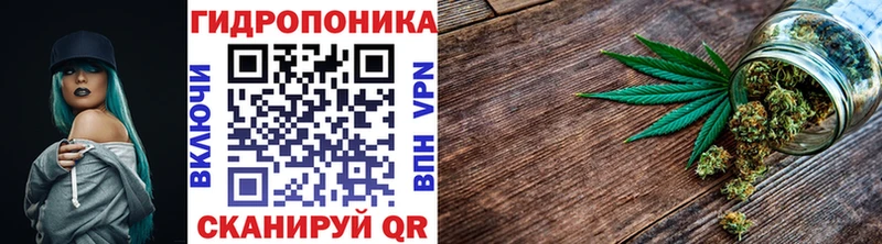 ГАШИШ Шарья