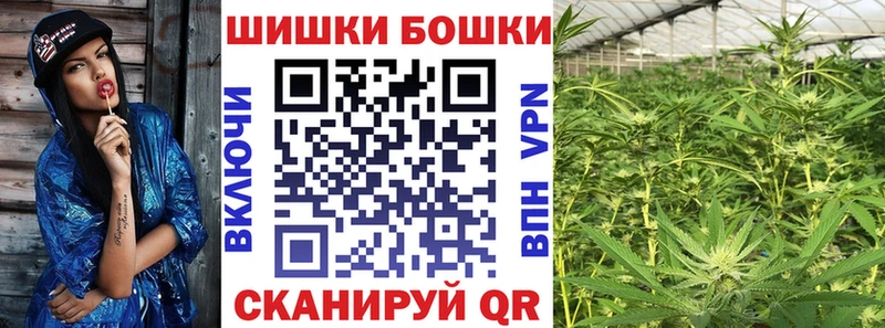 Шишки марихуана сатива  купить  сайты  мега зеркало  Шарья 
